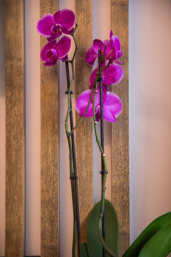 Downtown Oasis Apartman Dubrovnik Kültér fotó